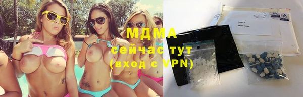 молекула духа Тайга