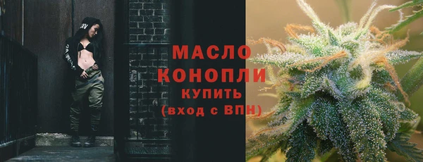 молекула духа Тайга