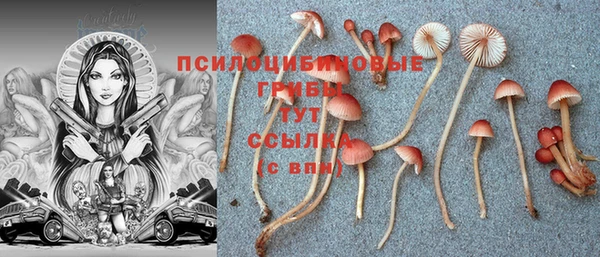 MDMA Бородино